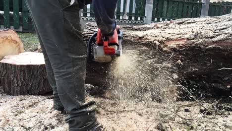 Kettensäge-Schneidet-Holz-In-Zeitlupe-Mit-Schneefall