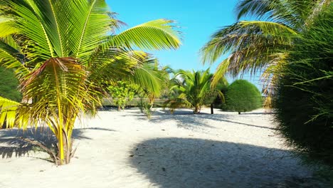 Palm-trees-planted-on-white-sand-of-beautiful-garden-of-waterfront-holiday-resort-on-bright-blue-sky-background-in-Vietnam