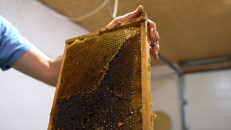 apiculturist holding a frame full of honey. beekeeper uncovers the sealed cells for honey extraction in centrifuge machine. close up. low angle view.