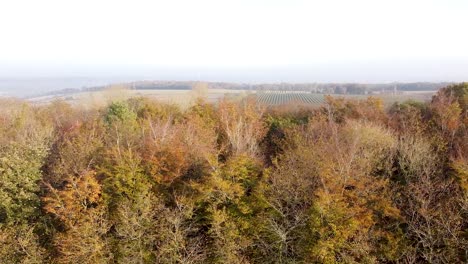 Aerial-landscape-view-of-autumnal-trees-and-fields,-in-the-England-countryside