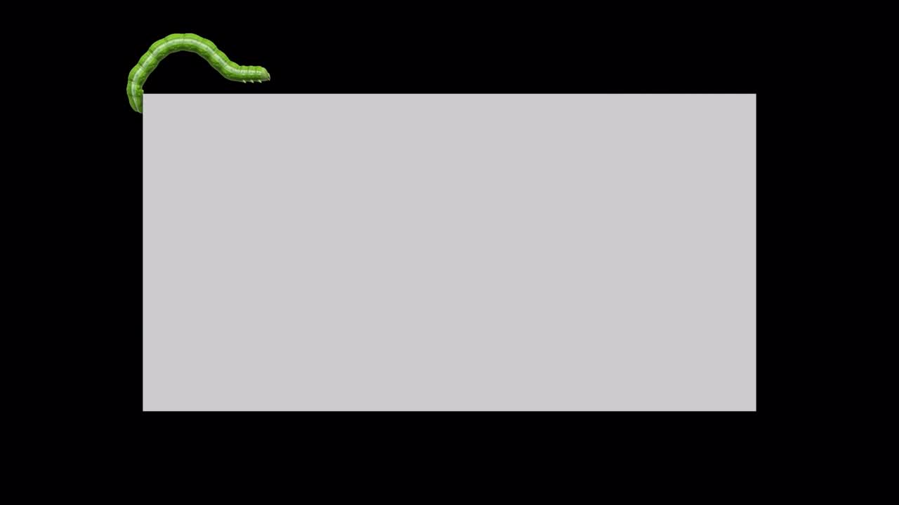 회색 직사각형의 애벌레, 루핑 3d 애니메이션