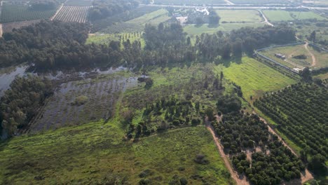 4K-drone-video-of-Rehovot-Winter-Pond--The-Secluded-Life-of-the-Rainy-Season--Rehovot-Israel