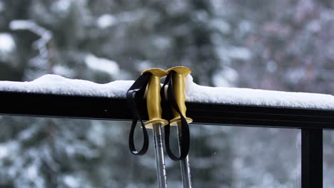 兩個有黃色手柄的滑雪棍子躺在玻璃<unk>上,而它的雪在背景中的松樹林