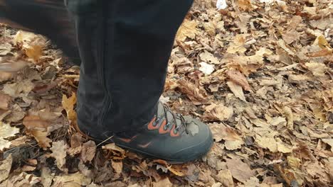 Close-up-walking-footsteps-from-the-side-on-brown-leaves-daytime-autumn