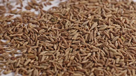 cumin seeds falling on white surface and bouncing, 4k, stable shot