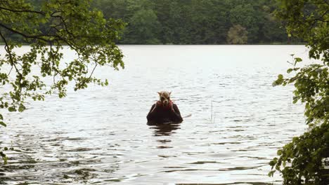 Sensenmann-Im-Wasser-Zieht-Ein-Gehörntes-Tierschädelkopfkostüm-An