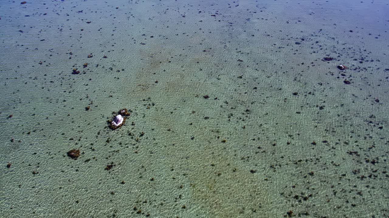 Aerial shot gliding over shallow clear waters near Askimsbadet beach, Gothenburg, Sweden