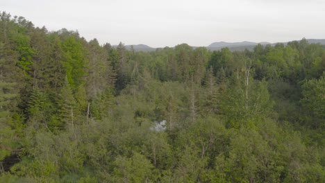 Aerial-rising-up-over-lush-dense-green-forest-wilderness-4k