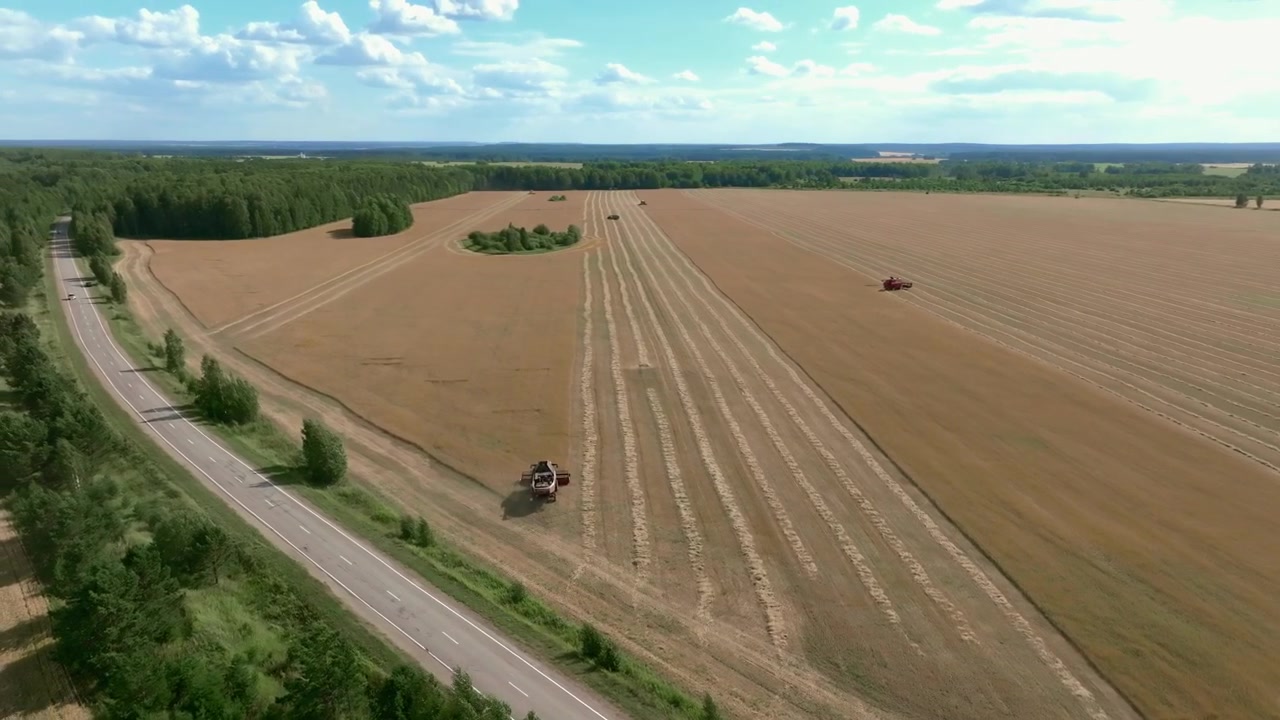 Dronekuva puimurista, joka korjaa vehnää laajalla viljelysmaalla kaksikaistaisen maaseututien vieressä, ohiajavalla autolla, kesäinen maaseutumaisema pilvien alla.