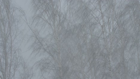 fuerte tormenta con ventisca