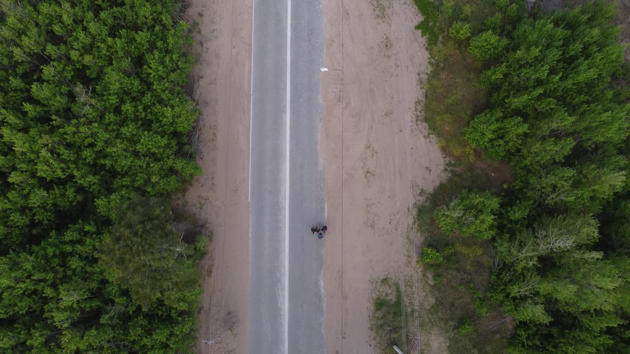 낮 동안 숲 나무로 둘러싸인 시골 길을 걷는 친구들의 그룹을 보여주는 공중 하향식 샷