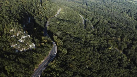 aerial forest winding road cars driving by 4k