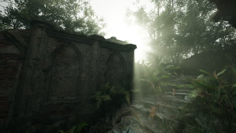ruinas cubiertas de vegetación en un bosque