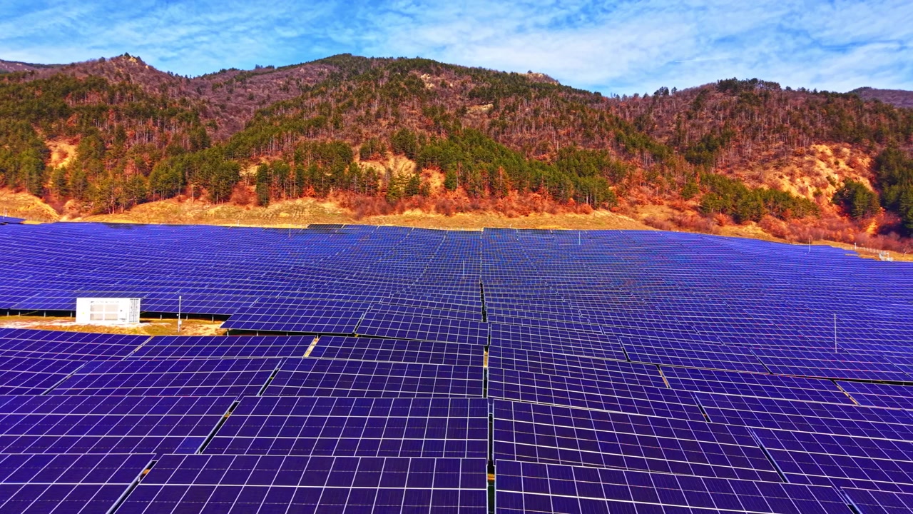 Pannelli solari che coprono la collina sotto una pineta, Bulgaria. Ripresa da drone di un denso campo di pannelli blu contro alberi misti di conifere e latifoglie spoglie sotto un cielo blu.