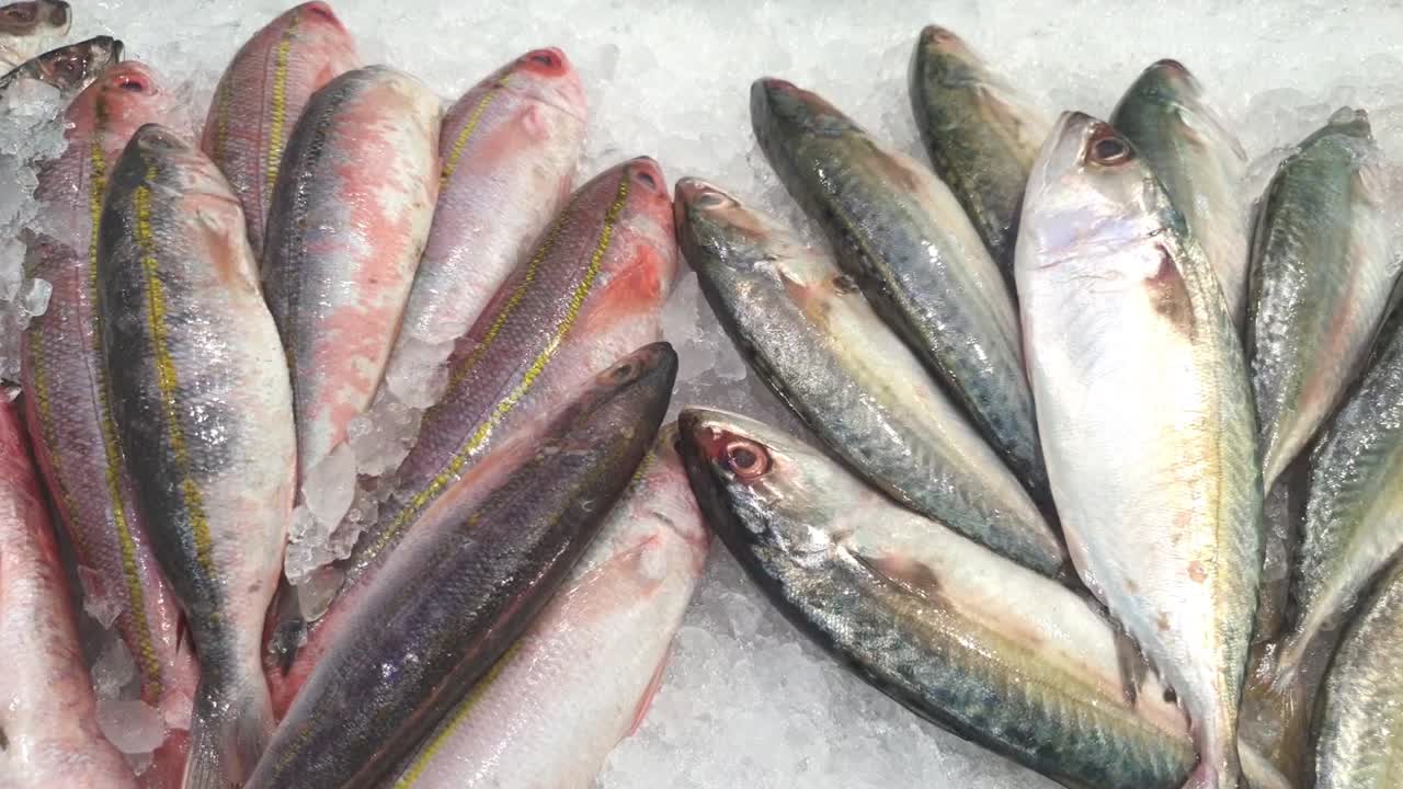 variedad de pescado en hielo triturado que se muestra en la sección húmeda del supermercado
