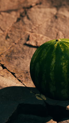 ripe watermelon on a rocky surface