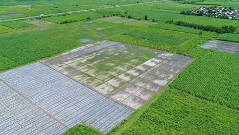 陽光明<unk>的一天,用塑膠覆蓋的農場的廣<unk>空中拍攝