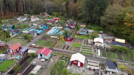 Vista-Aérea-De-Jardines-Comunitarios-En-Suecia-Rodeados-Por-El-Bosque-Verde,-Producción-De-Alimentos-Para-Un-Estilo-De-Vida-Autosuficiente-Fuera-De-La-Red