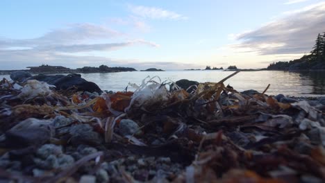 still video of beautiful ocean on rugged coast