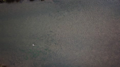 lowering drone shot above a man fly fishing in the provo river in utah