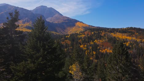 drone flying directly upwards revealing mountain range
