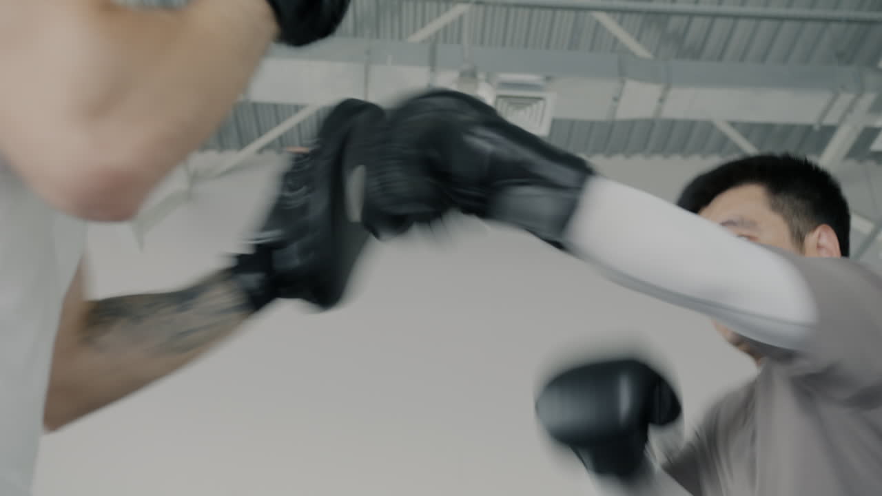 권투 훈련 세션