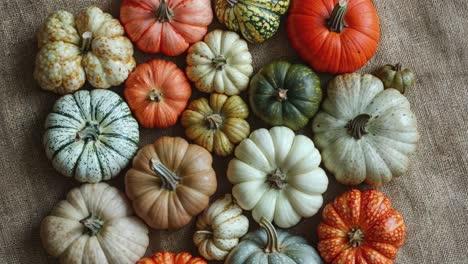 Assorted-Mini-Pumpkins-on-Burlap-Background-Perfect-for-Fall-Harvest-Decor