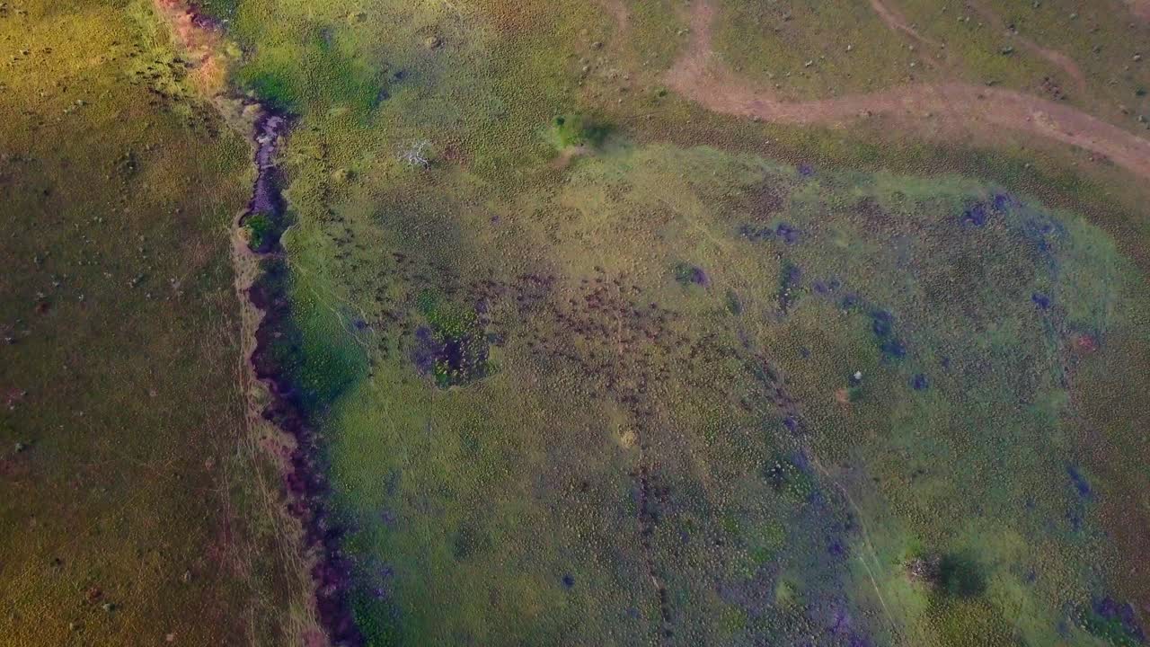 Aerial perspective showcase animals migrating due to climate change across the vast landscape of Kidepo National Park, Uganda terrain, displaying vegetation and migration paths, top down drone shot
