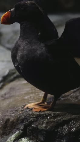 bird perches, flaps wings, and takes off