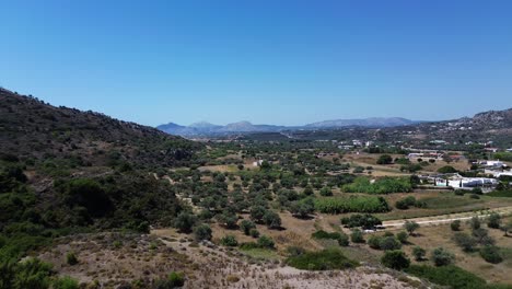 green forest after the wildfire in rhodes with seaside in the background in greece during the summer filmed with the drone in 4k