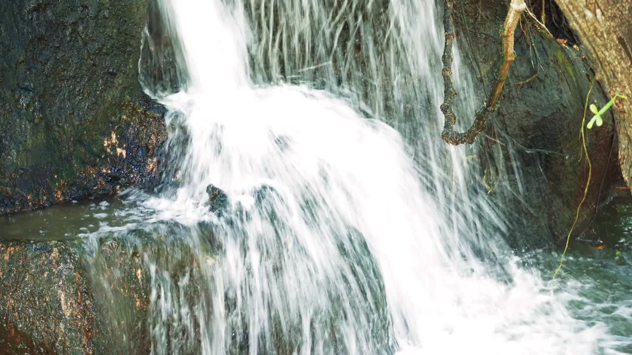 cascada en el bosque