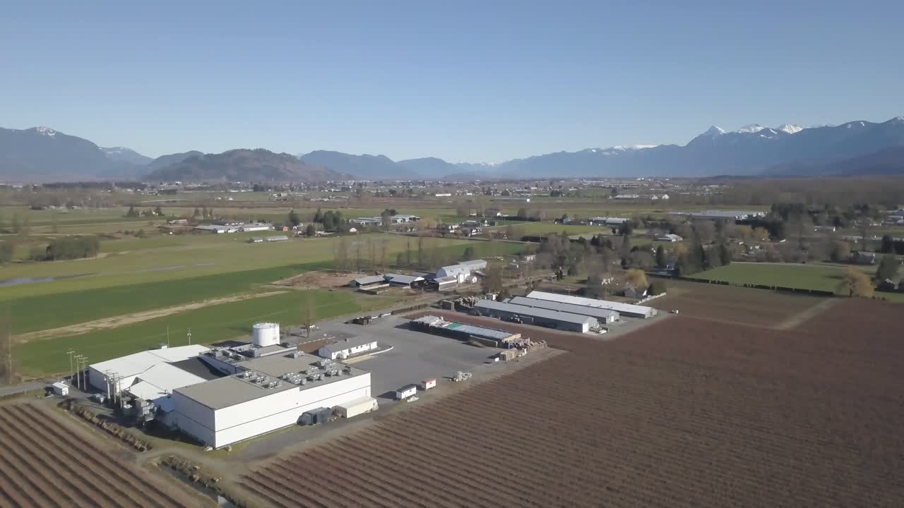 toma de dron 4k de la granja de bayas