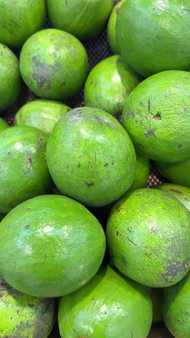 Pilha de Abacates Verdes Frescos no Mercado