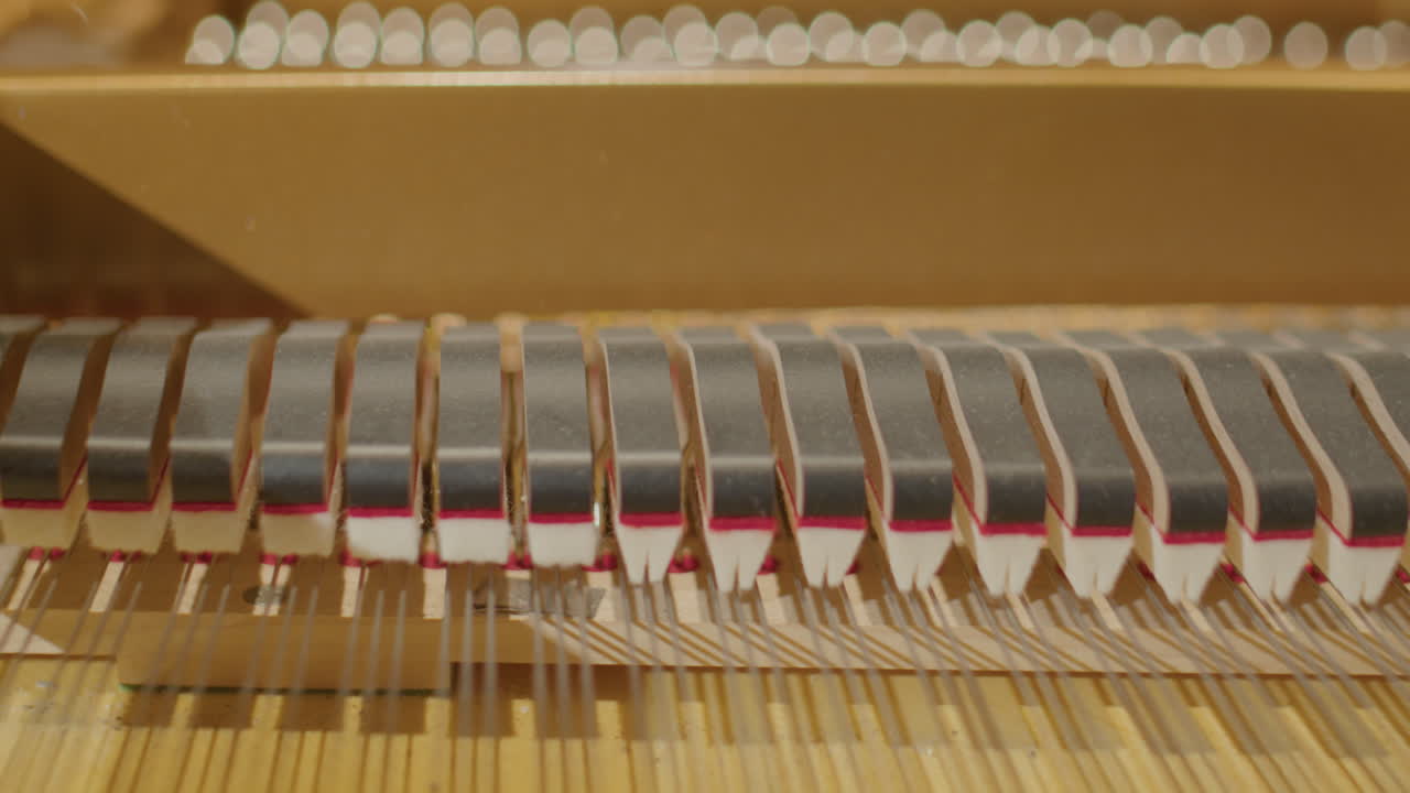 Hammers and Strings Inside of Grand Piano