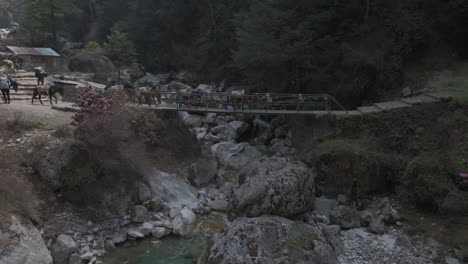 drone shot of mules carrying tourist luggage crossing a bridge in everest region; mix of sunlight and shadows adds scenic serenity and adventure tourism