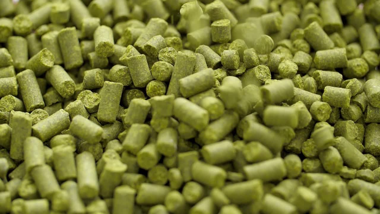 Hops for Beer Production