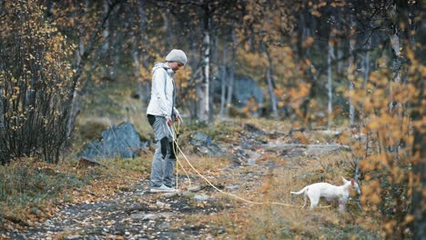 a european middle-aged woman walking with a small white dog on the trail in the autumn forest