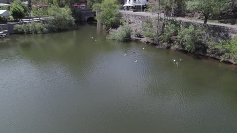 Vista-Aérea-De-Una-Presa-Con-Patos