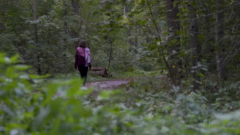 Natural-women-walking-in-thoughts-through-the-lush-green-forrest---foliage-foreground---slow-motion-dolly-shot