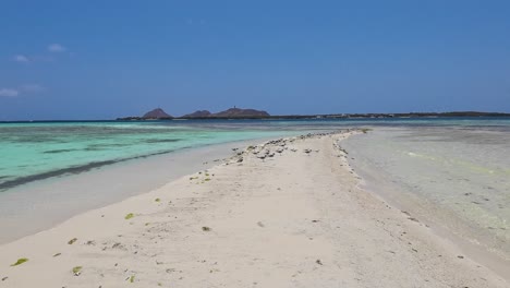 aves marinas en un lugar ideal para pasar el día tomando el sol, playa de arena blanca paraíso en el mar azul