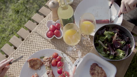 Primer-Plano-De-Mujeres-Cortando-Salchichas-Y-Carne-Mientras-Comen-Al-Aire-Libre