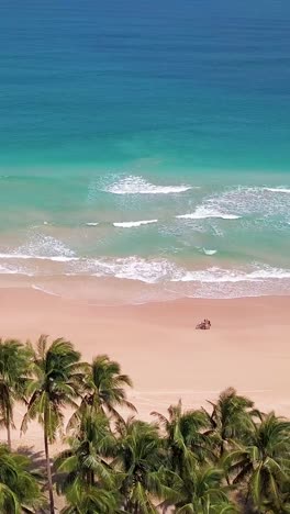 a vertical shot of a cyclist riding along the beach