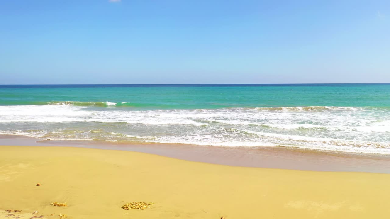 Doğal kumlu bir plajda, iki uzun tropikal palmiye ağacı arasından geniş yeşil okyanus suyuna ve dalgalara doğru alçak uçuş, havadan yaklaşım.