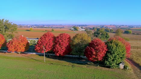 a drone view of a row of autumn trees, with bright orange and red leaves looking over farmlands on a bright sunny morning