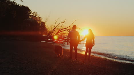 Walking-a-Dog-at-Sunset