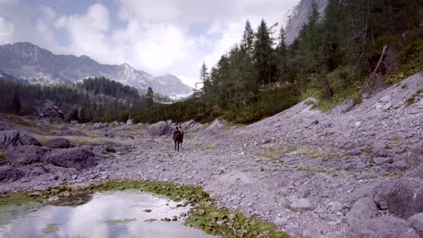 hikers in mountainous landscape