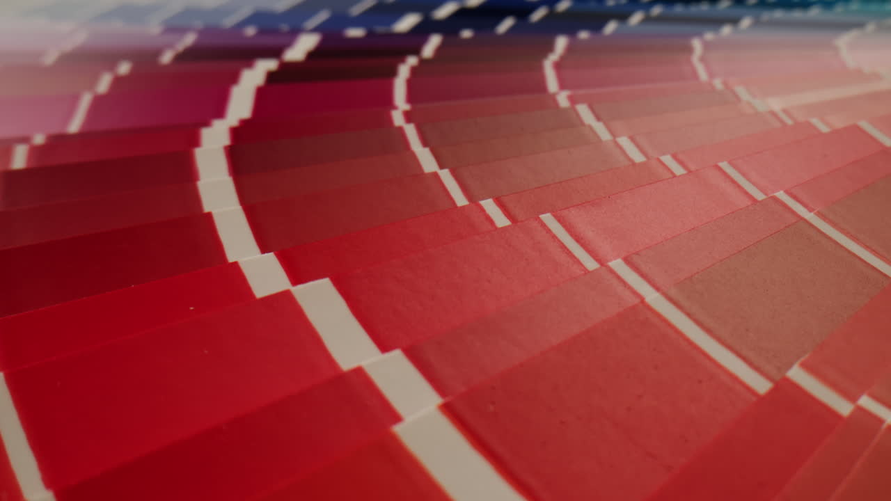 muestras de la paleta de colores