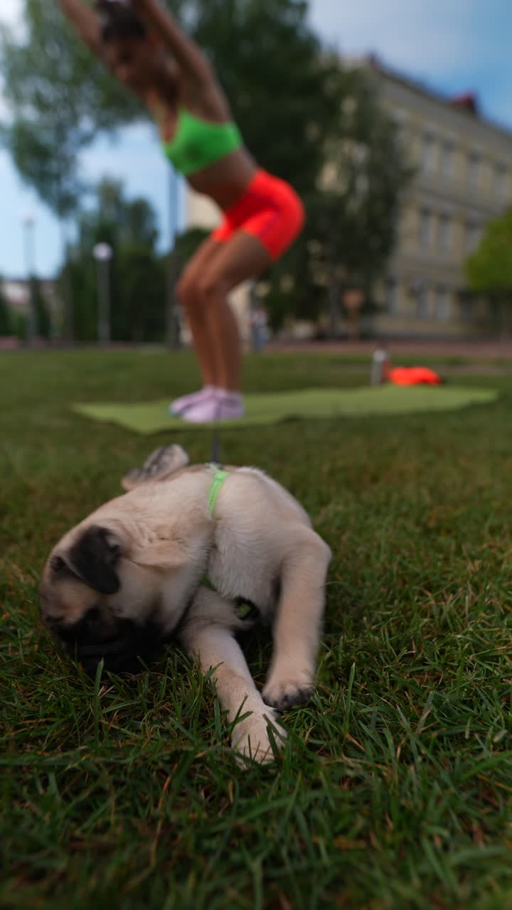 mujer haciendo ejercicio al aire libre con un perro