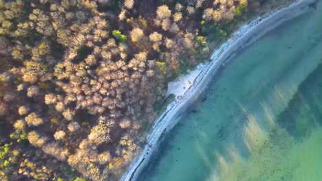 aerial view of høve skov, odsherred with the beautiful coastline of sejerøbugten, zealand, denmark