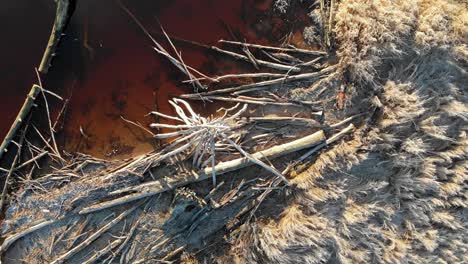 driftwood lying down on unwelcoming brown riverbank from above, aerial spinning